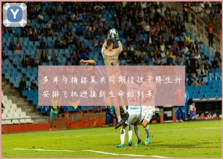 多库与梅赫莱共同期待孩子降生并安排飞机迎接新生命的到来