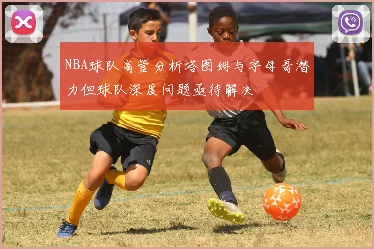 NBA球队高管分析塔图姆与字母哥潜力但球队深度问题亟待解决