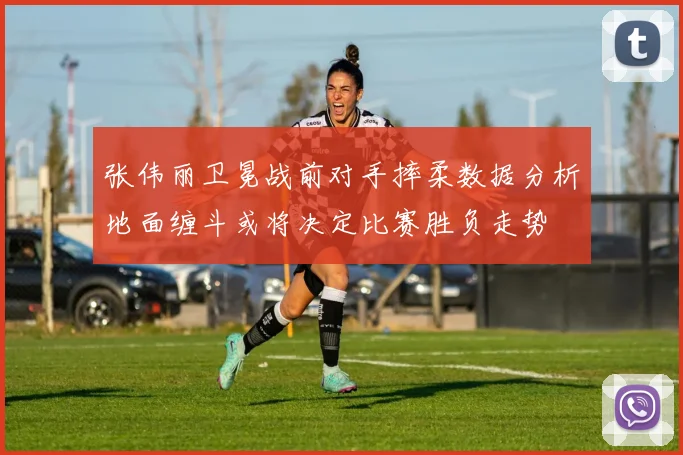 张伟丽卫冕战前对手摔柔数据分析地面缠斗或将决定比赛胜负走势